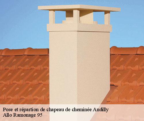 Pose et répartion de chapeau de cheminée  andilly-95580 Allo Ramonage 95