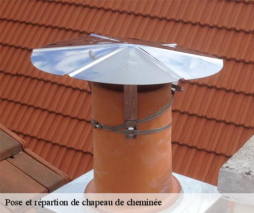 Pose et répartion de chapeau de cheminée