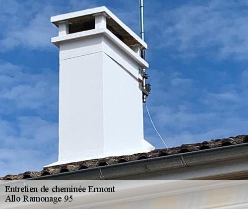 Entretien de cheminée  ermont-95120 Allo Ramonage 95