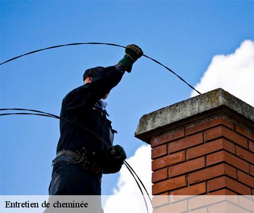 Entretien de cheminée